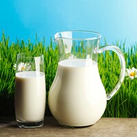 牛乳でOK! 生クリームいらずのクリームパスタレシピ