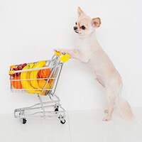 もう読んだ？『夫は犬だと思えばいい』に賛否