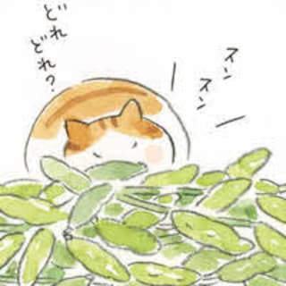 第三話　豆ごはん