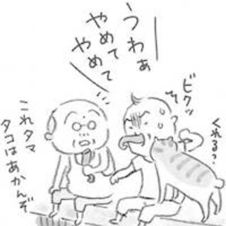 第六話　夏の思い出