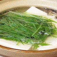 うる肌に！今が旬の水菜は美肌効果がすごい！