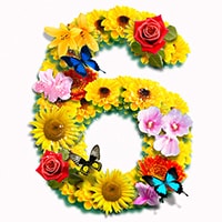 ママ友に教えたい!セルフ占いがちょっぴり楽しい♪