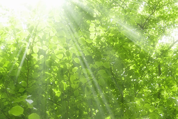 占いより当たる?7つの質問で心理テスト