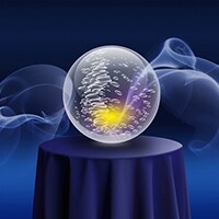 山手線、ラーメンetc…。変わり種占いが面白い!