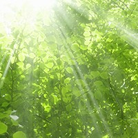 占いより当たる？7つの質問で心理テスト