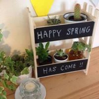 「Can★Do」でリビングが変身！観葉植物棚でカフェの様な空間を…