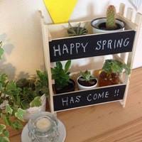 「Can★Do」でリビングが変身！観葉植物棚でカフェの様な空間を…