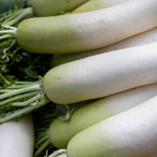 捨てたらもったいない！大根の葉のレシピ