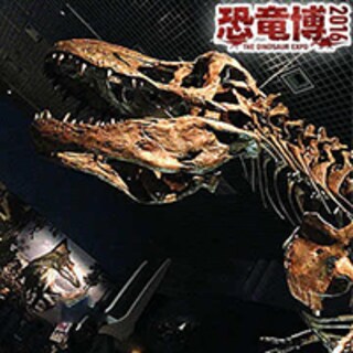 大迫力間違いなし！今回の恐竜博の見どころは