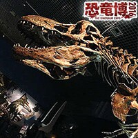 大迫力間違いなし！今回の恐竜博の見どころは