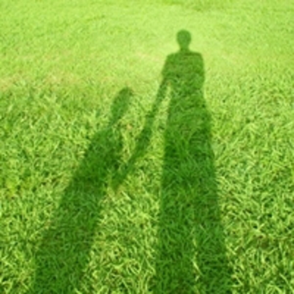 障がい児の子育て。ママの本音とは……。