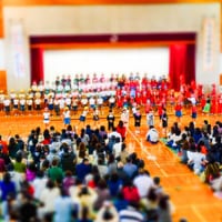 幼稚園卒と保育園卒に見える「ズレ」って？