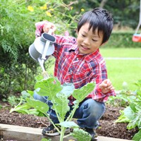 「お手伝い」経験がないと将来困る？