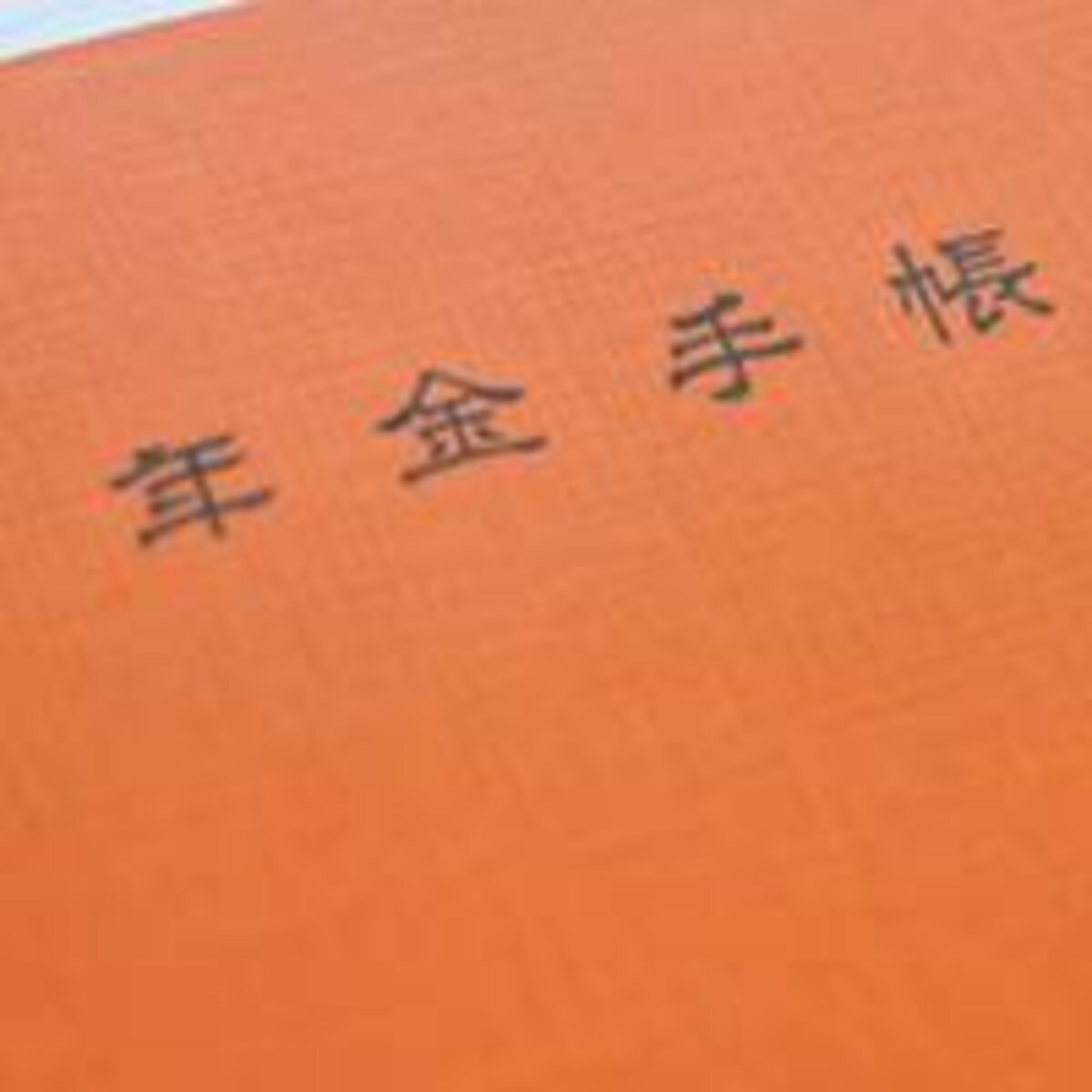 不安…年金も払わない夫の独身兄弟！私たち本気で悩んでます