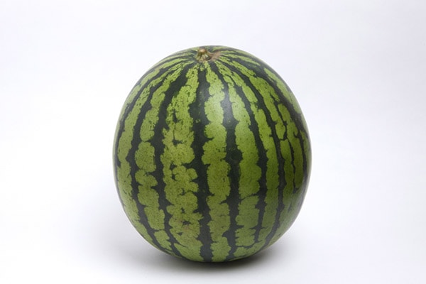 夏の風物詩♪スイカ割りに公式ルールがあった!?