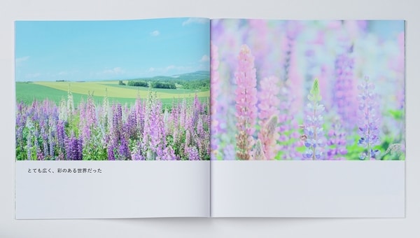 1609_photoco_m_03