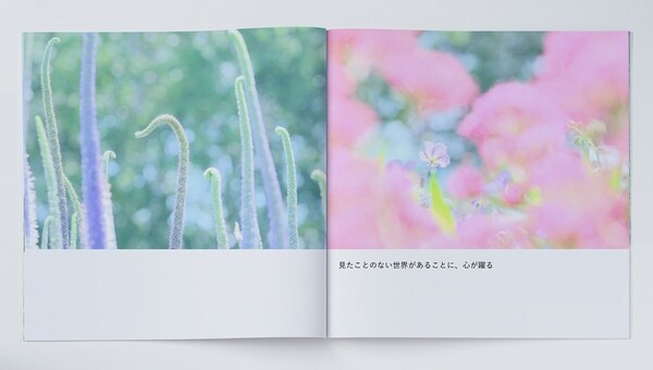 1609_photoco_m_04
