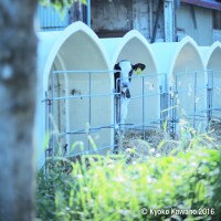 自慢したくなる旅写真を撮るプロ技って?