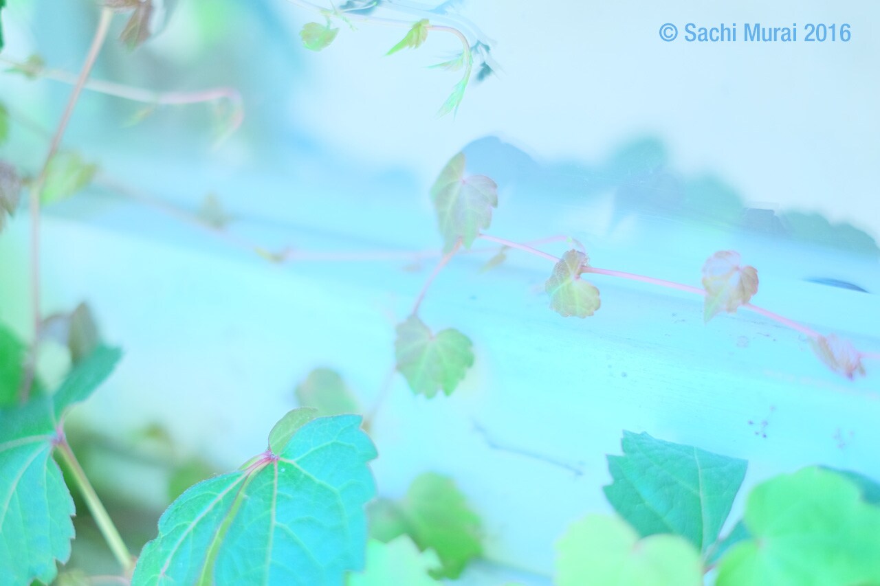 フォトコレ2
