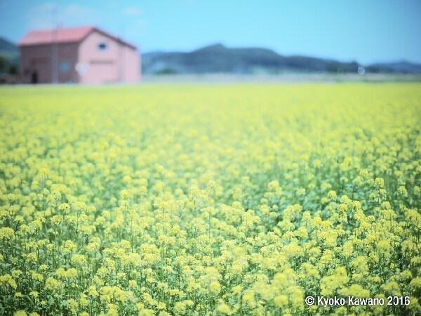 自慢したくなる旅写真を撮るプロ技って?
