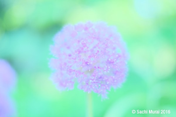 自慢したくなる旅写真を撮るプロ技って?