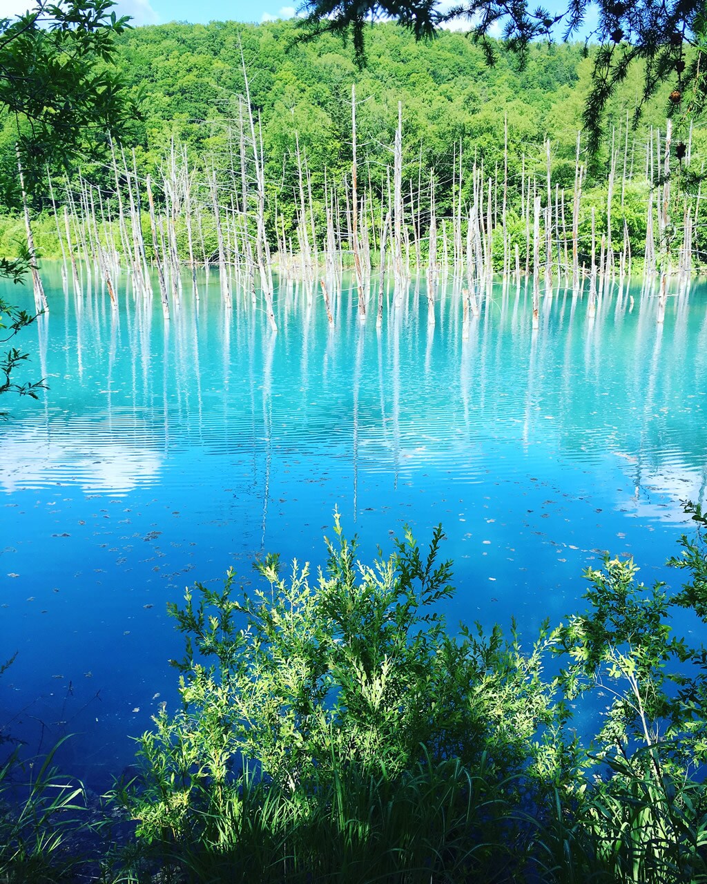 自慢したくなる旅写真を撮るプロ技って?~写真の色編~