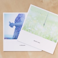 自慢したくなる旅写真を撮るプロ技って?~写真の色編~