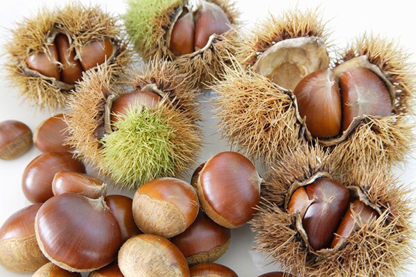 栗・さつまいも…秋の限定お菓子をチェック!