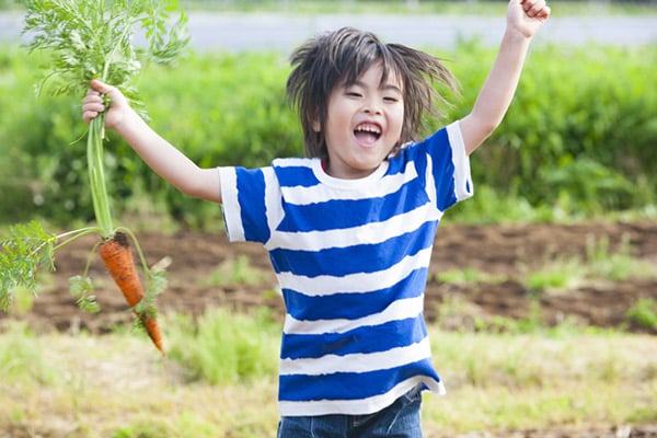 自然豊か！田舎移住のメリット・デメリット