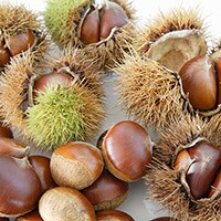 栗・さつまいも…秋の限定お菓子をチェック！