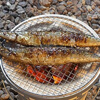 塩焼きだけじゃない!サンマの美味しい食べ方3選
