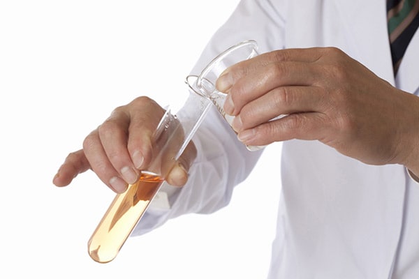 大隅良典氏がノーベル賞受賞!オートファジー解明で難病に光