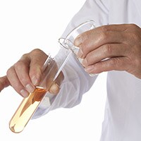 大隅良典氏がノーベル賞受賞!オートファジー解明で難病に光