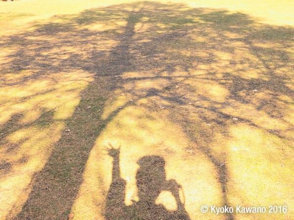 脱! 記録写真 旅をおしゃれに撮る 写真家のテクニック