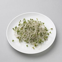 【野菜高騰対策】100円で買えるブロッコリースプラウトは栄養満点