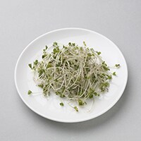 【野菜高騰対策】100円で買えるブロッコリースプラウトは栄養満点