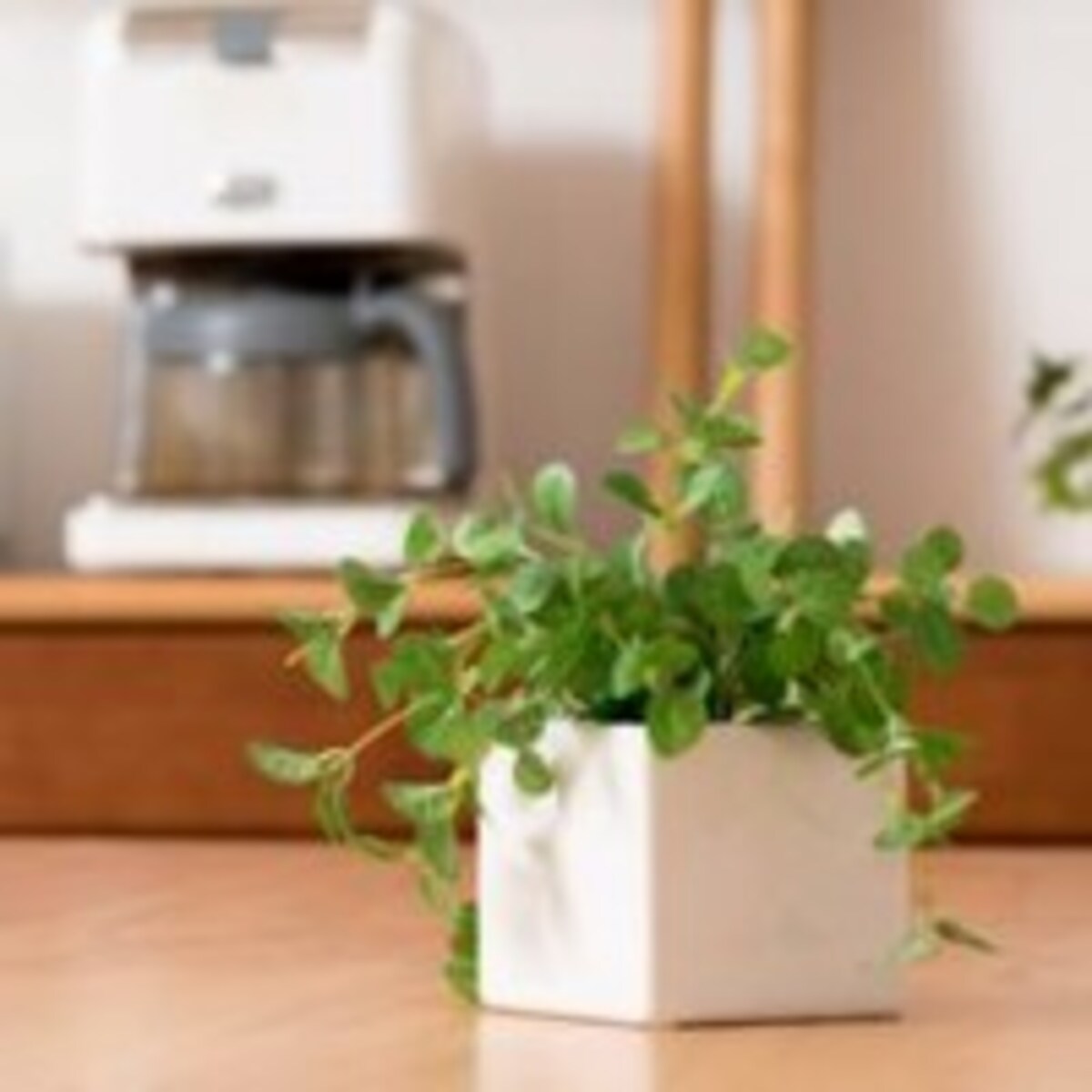 【スピリチュアル鑑定士・寿】が指南！夫と仲良くなる6カ条とは？