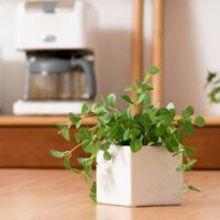 【スピリチュアル鑑定士・寿】が指南！夫と仲良くなる6カ条とは？