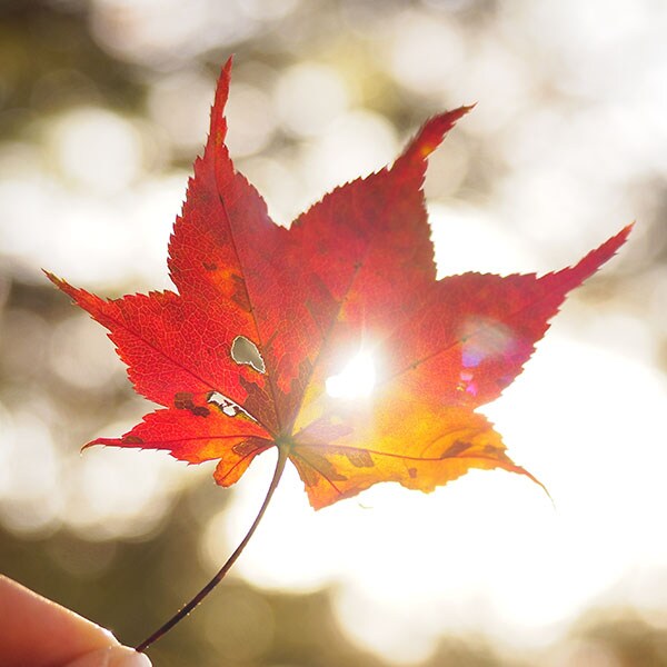 脱！ 記録写真　旅をおしゃれに撮る 写真家のテクニック