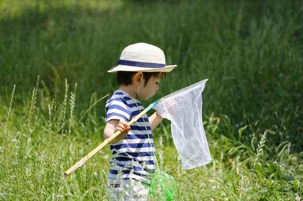 虫取りが子どもを賢くする