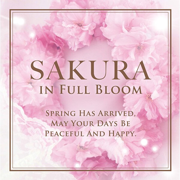1月発売コスメで春を先取り♪そして史上最高シアバターも