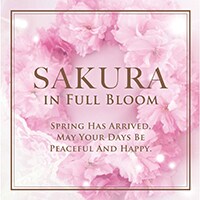 1月発売コスメで春を先取り♪そして史上最高シアバターも
