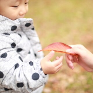 羽毛ぶとん、ダウンジャケットで【鳥アレルギー性肺炎】に