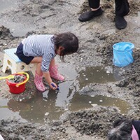 貝に毒が…？安全のために潮干狩りの前に調べて欲しい注意すべきこと