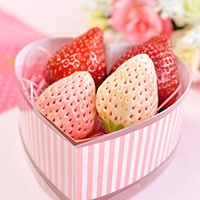 間違った食べ方してない!?旬のイチゴをさらにおいしく食べる方法とは