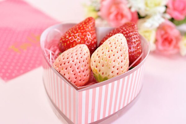 間違った食べ方してない!?旬のイチゴをさらにおいしく食べる方法とは