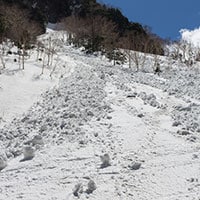 相次ぐ雪崩 どんな時起こりやすい？遭遇したらどこに避難する？