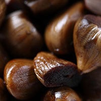 【ブーム!】簡単でおいしい自家製しょう油漬けにんにくの作り方がSNSで話題!