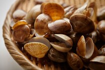 目撃したことある？貝の中に棲む小さなカニ“ピンノ”食べても大丈夫？