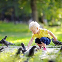 【鳥アレルギー性肺炎】日常に潜む8つの抗原スポット